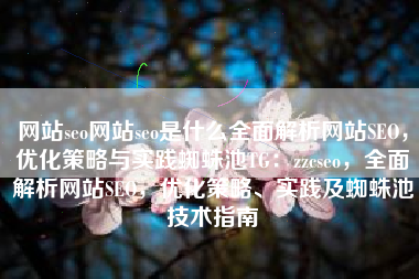 网站seo网站seo是什么全面解析网站SEO，优化策略与实践蜘蛛池TG：zzcseo，全面解析网站SEO，优化策略、实践及蜘蛛池技术指南