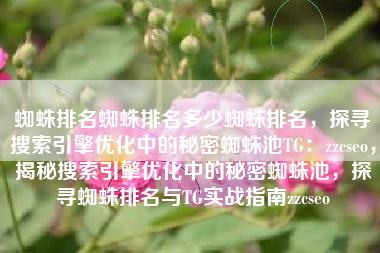 蜘蛛排名蜘蛛排名多少蜘蛛排名，探寻搜索引擎优化中的秘密蜘蛛池TG：zzcseo，揭秘搜索引擎优化中的秘密蜘蛛池，探寻蜘蛛排名与TG实战指南zzcseo