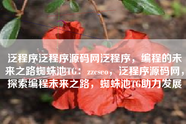 泛程序泛程序源码网泛程序，编程的未来之路蜘蛛池TG：zzcseo，泛程序源码网，探索编程未来之路，蜘蛛池TG助力发展
