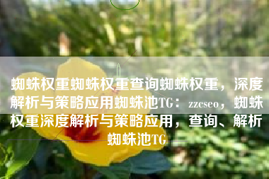 蜘蛛权重蜘蛛权重查询蜘蛛权重，深度解析与策略应用蜘蛛池TG：zzcseo，蜘蛛权重深度解析与策略应用，查询、解析蜘蛛池TG