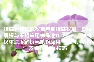 蜘蛛权重蜘蛛权重查询蜘蛛权重，深度解析与策略应用蜘蛛池TG：zzcseo，蜘蛛权重深度解析与策略应用，查询、解析及蜘蛛池SEO技巧