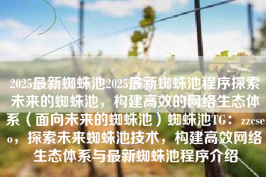 2025最新蜘蛛池2025最新蜘蛛池程序探索未来的蜘蛛池，构建高效的网络生态体系（面向未来的蜘蛛池）蜘蛛池TG：zzcseo，探索未来蜘蛛池技术，构建高效网络生态体系与最新蜘蛛池程序介绍