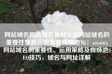 网站域名网站域名是网址吗网站域名的重要性及其运用策略蜘蛛池TG：zzcseo，网站域名的重要性、运用策略及蜘蛛池SEO技巧，域名与网址详解