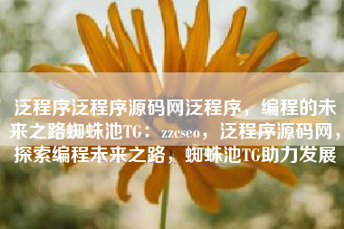 泛程序泛程序源码网泛程序，编程的未来之路蜘蛛池TG：zzcseo，泛程序源码网，探索编程未来之路，蜘蛛池TG助力发展