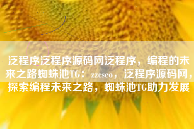 泛程序泛程序源码网泛程序，编程的未来之路蜘蛛池TG：zzcseo，泛程序源码网，探索编程未来之路，蜘蛛池TG助力发展