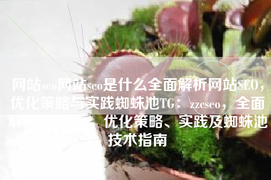 网站seo网站seo是什么全面解析网站SEO，优化策略与实践蜘蛛池TG：zzcseo，全面解析网站SEO，优化策略、实践及蜘蛛池技术指南