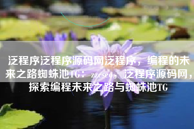 泛程序泛程序源码网泛程序，编程的未来之路蜘蛛池TG：zzcseo，泛程序源码网，探索编程未来之路与蜘蛛池TG
