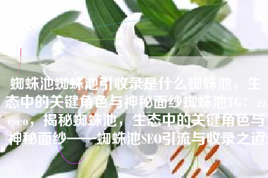 蜘蛛池蜘蛛池引收录是什么蜘蛛池，生态中的关键角色与神秘面纱蜘蛛池TG：zzcseo，揭秘蜘蛛池，生态中的关键角色与神秘面纱——蜘蛛池SEO引流与收录之道