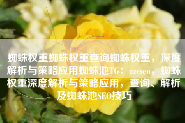 蜘蛛权重蜘蛛权重查询蜘蛛权重，深度解析与策略应用蜘蛛池TG：zzcseo，蜘蛛权重深度解析与策略应用，查询、解析及蜘蛛池SEO技巧