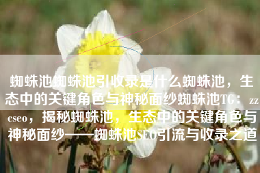 蜘蛛池蜘蛛池引收录是什么蜘蛛池，生态中的关键角色与神秘面纱蜘蛛池TG：zzcseo，揭秘蜘蛛池，生态中的关键角色与神秘面纱——蜘蛛池SEO引流与收录之道