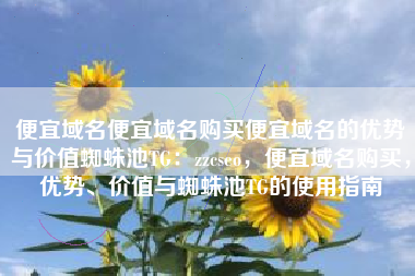 便宜域名便宜域名购买便宜域名的优势与价值蜘蛛池TG：zzcseo，便宜域名购买，优势、价值与蜘蛛池TG的使用指南