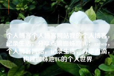 个人博客个人博客网站我的个人博客，记录生活，分享点滴蜘蛛池TG：zzcseo，个人博客网站，记录生活，分享点滴，构建蜘蛛池TG的个人世界