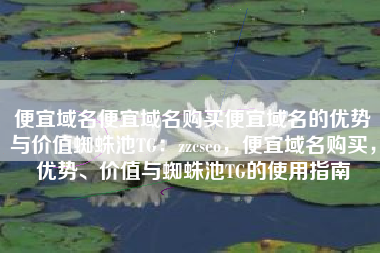 便宜域名便宜域名购买便宜域名的优势与价值蜘蛛池TG：zzcseo，便宜域名购买，优势、价值与蜘蛛池TG的使用指南