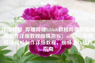 详细教程_哔哩哔哩bilibili教程哔哩哔哩视频制作详细教程蜘蛛池TG：zzcseo，哔哩哔哩视频制作详细教程，蜘蛛池TG操作指南