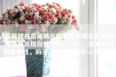 备案域名备案域名购买备案域名的重要性及其流程蜘蛛池TG：zzcseo，备案域名的重要性、购买流程与蜘蛛池SEO策略解析