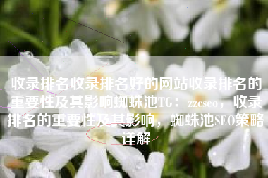 收录排名收录排名好的网站收录排名的重要性及其影响蜘蛛池TG：zzcseo，收录排名的重要性及其影响，蜘蛛池SEO策略详解