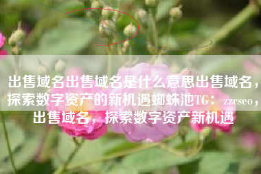 出售域名出售域名是什么意思出售域名，探索数字资产的新机遇蜘蛛池TG：zzcseo，出售域名，探索数字资产新机遇