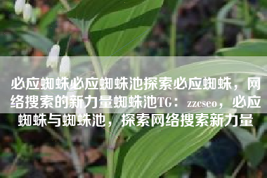 必应蜘蛛必应蜘蛛池探索必应蜘蛛，网络搜索的新力量蜘蛛池TG：zzcseo，必应蜘蛛与蜘蛛池，探索网络搜索新力量