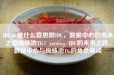 IDCidc是什么意思啊IDC，数据中心的未来之路蜘蛛池TG：zzcseo，IDC的未来之路，数据中心与蜘蛛池TG的角色解读