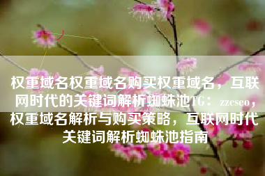 权重域名权重域名购买权重域名，互联网时代的关键词解析蜘蛛池TG：zzcseo，权重域名解析与购买策略，互联网时代关键词解析蜘蛛池指南