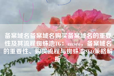 备案域名备案域名购买备案域名的重要性及其流程蜘蛛池TG：zzcseo，备案域名的重要性、购买流程与蜘蛛池SEO策略解析