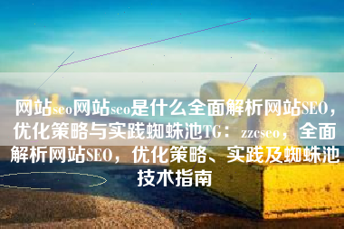 网站seo网站seo是什么全面解析网站SEO，优化策略与实践蜘蛛池TG：zzcseo，全面解析网站SEO，优化策略、实践及蜘蛛池技术指南