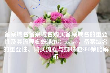 备案域名备案域名购买备案域名的重要性及其流程蜘蛛池TG：zzcseo，备案域名的重要性、购买流程与蜘蛛池SEO策略解析