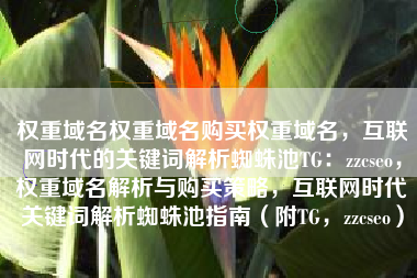 权重域名权重域名购买权重域名，互联网时代的关键词解析蜘蛛池TG：zzcseo，权重域名解析与购买策略，互联网时代关键词解析蜘蛛池指南（附TG，zzcseo）