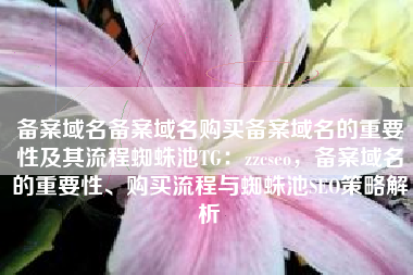备案域名备案域名购买备案域名的重要性及其流程蜘蛛池TG：zzcseo，备案域名的重要性、购买流程与蜘蛛池SEO策略解析