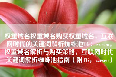 权重域名权重域名购买权重域名，互联网时代的关键词解析蜘蛛池TG：zzcseo，权重域名解析与购买策略，互联网时代关键词解析蜘蛛池指南（附TG，zzcseo）