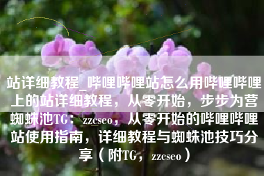 站详细教程_哔哩哔哩站怎么用哔哩哔哩上的站详细教程，从零开始，步步为营蜘蛛池TG：zzcseo，从零开始的哔哩哔哩站使用指南，详细教程与蜘蛛池技巧分享（附TG，zzcseo）