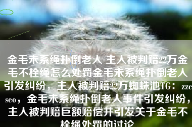 金毛未系绳扑倒老人 主人被判赔22万金毛不栓绳怎么处罚金毛未系绳扑倒老人引发纠纷，主人被判赔22万蜘蛛池TG：zzcseo，金毛未系绳扑倒老人事件引发纠纷，主人被判赔巨额赔偿并引发关于金毛不栓绳处罚的讨论