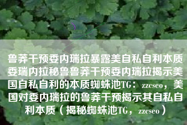 鲁莽干预委内瑞拉暴露美自私自利本质委瑞内拉秘鲁鲁莽干预委内瑞拉揭示美国自私自利的本质蜘蛛池TG：zzcseo，美国对委内瑞拉的鲁莽干预揭示其自私自利本质（揭秘蜘蛛池TG，zzcseo）