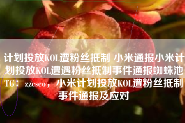 计划投放KOL遭粉丝抵制 小米通报小米计划投放KOL遭遇粉丝抵制事件通报蜘蛛池TG：zzcseo，小米计划投放KOL遭粉丝抵制事件通报及应对