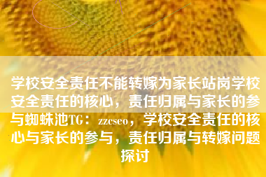 学校安全责任不能转嫁为家长站岗学校安全责任的核心，责任归属与家长的参与蜘蛛池TG：zzcseo，学校安全责任的核心与家长的参与，责任归属与转嫁问题探讨
