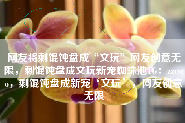 网友将剩馄饨盘成“文玩”网友创意无限，剩馄饨盘成文玩新宠蜘蛛池TG：zzcseo，剩馄饨盘成新宠‘文玩’，网友创意无限