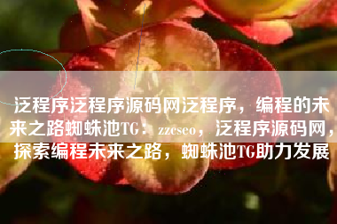 泛程序泛程序源码网泛程序，编程的未来之路蜘蛛池TG：zzcseo，泛程序源码网，探索编程未来之路，蜘蛛池TG助力发展