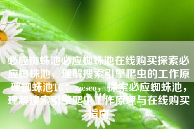 必应蜘蛛池必应蜘蛛池在线购买探索必应蜘蛛池,理解搜索引擎爬虫的工作原理蜘蛛池TG:zzcseo,探索必应蜘蛛池,理解搜索引擎爬虫工作原理与在线购买指南 必应蜘蛛池必应蜘蛛池在线购买探索必应蜘蛛池,理解搜索引擎爬虫的工作原理蜘蛛池TG:zzcseo,探索必应蜘蛛池,理解搜索引擎爬虫工作原理与在线购买指南