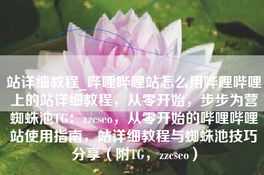 站详细教程_哔哩哔哩站怎么用哔哩哔哩上的站详细教程，从零开始，步步为营蜘蛛池TG：zzcseo，从零开始的哔哩哔哩站使用指南，站详细教程与蜘蛛池技巧分享（附TG，zzcseo）