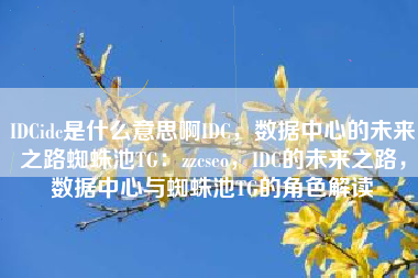 IDCidc是什么意思啊IDC，数据中心的未来之路蜘蛛池TG：zzcseo，IDC的未来之路，数据中心与蜘蛛池TG的角色解读