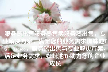 服务器出售服务器售卖服务器出售，专业解决方案，满足您的业务需求蜘蛛池TG：zzcseo，服务器出售与专业解决方案，满足业务需求，蜘蛛池TG助力您的企业成长