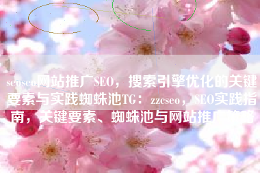 seoseo网站推广SEO,搜索引擎优化的关键要素与实践蜘蛛池TG:zzcseo,SEO实践指南,关键要素、蜘蛛池与网站推广策略 seoseo网站推广SEO,搜索引擎优化的关键要素与实践蜘蛛池TG:zzcseo,SEO实践指南,关键要素、蜘蛛池与网站推广策略