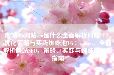 网站seo网站seo是什么全面解析网站SEO，优化策略与实践蜘蛛池TG：zzcseo，全面解析网站SEO，策略、实践与蜘蛛池优化指南
