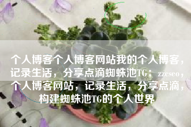 个人博客个人博客网站我的个人博客，记录生活，分享点滴蜘蛛池TG：zzcseo，个人博客网站，记录生活，分享点滴，构建蜘蛛池TG的个人世界