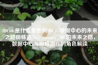 IDCidc是什么意思啊IDC，数据中心的未来之路蜘蛛池TG：zzcseo，IDC的未来之路，数据中心与蜘蛛池TG的角色解读