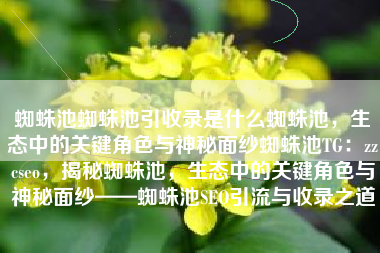 蜘蛛池蜘蛛池引收录是什么蜘蛛池，生态中的关键角色与神秘面纱蜘蛛池TG：zzcseo，揭秘蜘蛛池，生态中的关键角色与神秘面纱——蜘蛛池SEO引流与收录之道