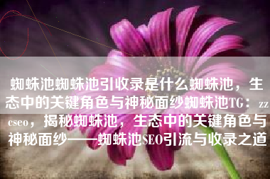 蜘蛛池蜘蛛池引收录是什么蜘蛛池，生态中的关键角色与神秘面纱蜘蛛池TG：zzcseo，揭秘蜘蛛池，生态中的关键角色与神秘面纱——蜘蛛池SEO引流与收录之道