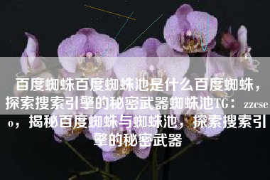 百度蜘蛛百度蜘蛛池是什么百度蜘蛛，探索搜索引擎的秘密武器蜘蛛池TG：zzcseo，揭秘百度蜘蛛与蜘蛛池，探索搜索引擎的秘密武器