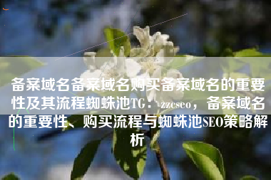 备案域名备案域名购买备案域名的重要性及其流程蜘蛛池TG：zzcseo，备案域名的重要性、购买流程与蜘蛛池SEO策略解析