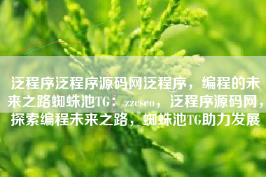 泛程序泛程序源码网泛程序，编程的未来之路蜘蛛池TG：zzcseo，泛程序源码网，探索编程未来之路，蜘蛛池TG助力发展